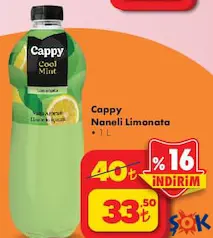 CAPPY NANELİ LİMONATA 1 L